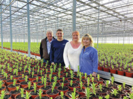 
			
				                                Some members of the van Hoekelen family at van Hoekelen Greenhouses Inc. near Hazleton. From left, are: Cok van Hoekelen, two of his children — Alex van Hoekelen and Lori Bowser — and wife Lori, who is the owner and CEO of the business that opened in 1988.
                                 Submitted photo

			
		
