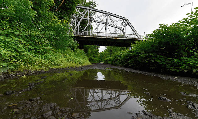 130526722_web1_TTL061819bridge2cmyk
Luzerne County Councilman Kevin Lescavage said Thursday he is not convinced the county is locked into constructing a full replacement of the Nanticoke/West Nanticoke Bridge over the Susquehanna River, shown here.