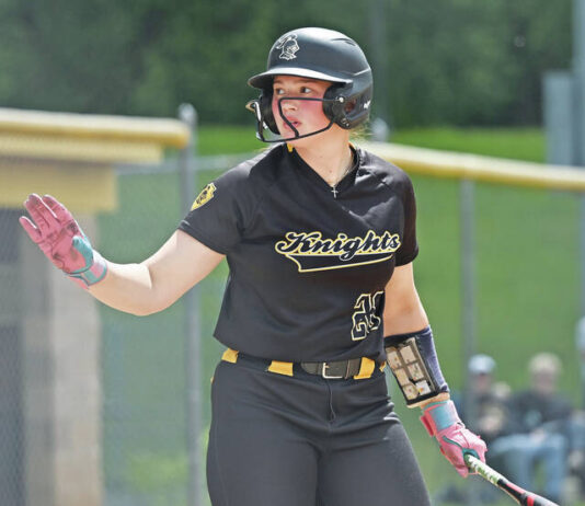 
			
				                                Lake-Lehman senior Kirsten Finarelli, a four-time All-WVC selection, was chosen the Times Leader Player of the Year for softball. She will play at Penn State next season.
                                 Tony Callaio file photo | For Times Leader

			
		