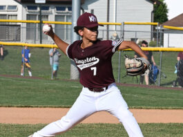 
			
				                                Kingston/Forty Fort winning pitcher Kye Kushnir went the distance in capturing the District 31 Major Baseball championship, defeating Back Mountain National at Jenkins Twp. Field on Monday evening.
                                 Tony Callaio | For Times Leader

			
		