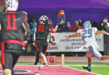 
			
				                                Evan Wolff (31) hauls in a Chase Zimmerman pass for a touchdown in the first half of Friday’s District 2 Class 4A finals against Dallas.
                                 Tony Callaio | For Times Leader

			
		