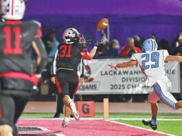 
			
				                                Evan Wolff (31) hauls in a Chase Zimmerman pass for a touchdown in the first half of Friday’s District 2 Class 4A finals against Dallas.
                                 Tony Callaio | For Times Leader

			
		